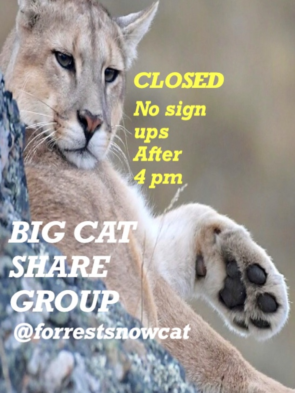 BIG CAT SHARE GROUP  WEDNESDAY 9/2 CLOSED